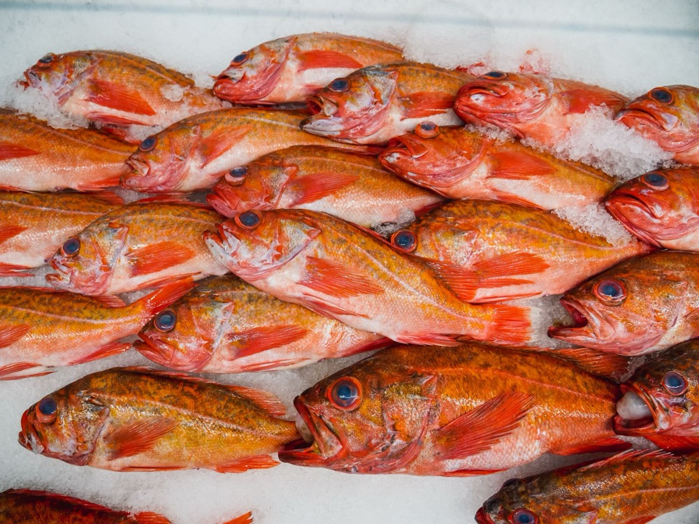 市場に並ぶ朝獲れの鮮魚